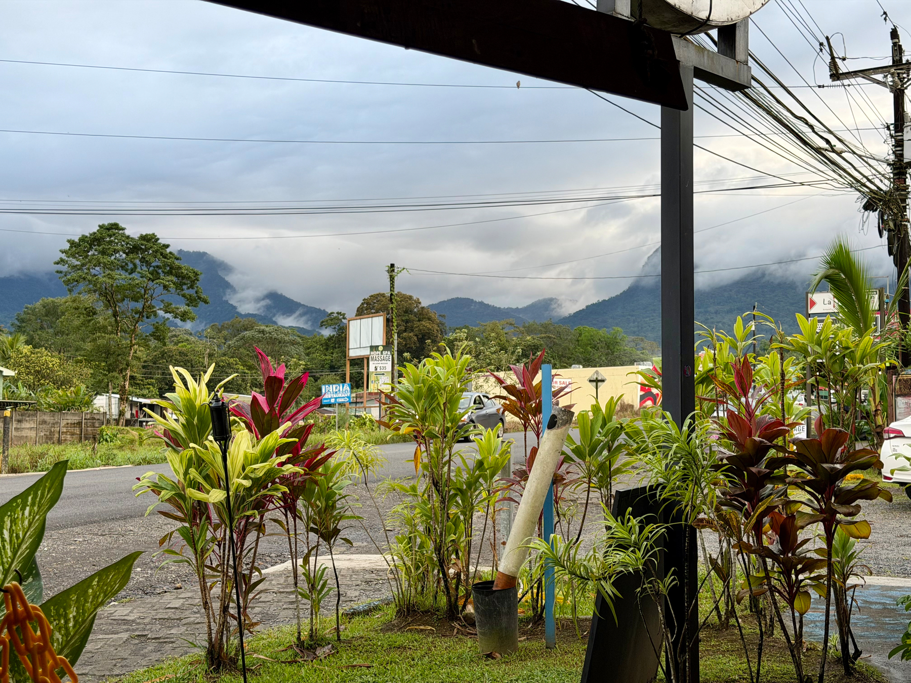 Auto-generated description: Lush green plants line the edge of a road with mountains and fog visible in the background.